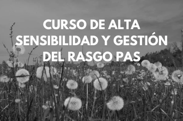 Curso de alta sensibilidad y gestión del rasgo PAS